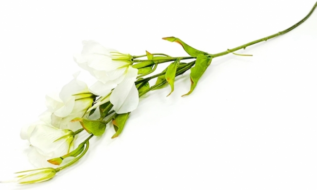 Эустома искусственная