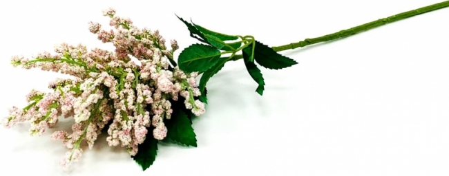 Астильба искусственная