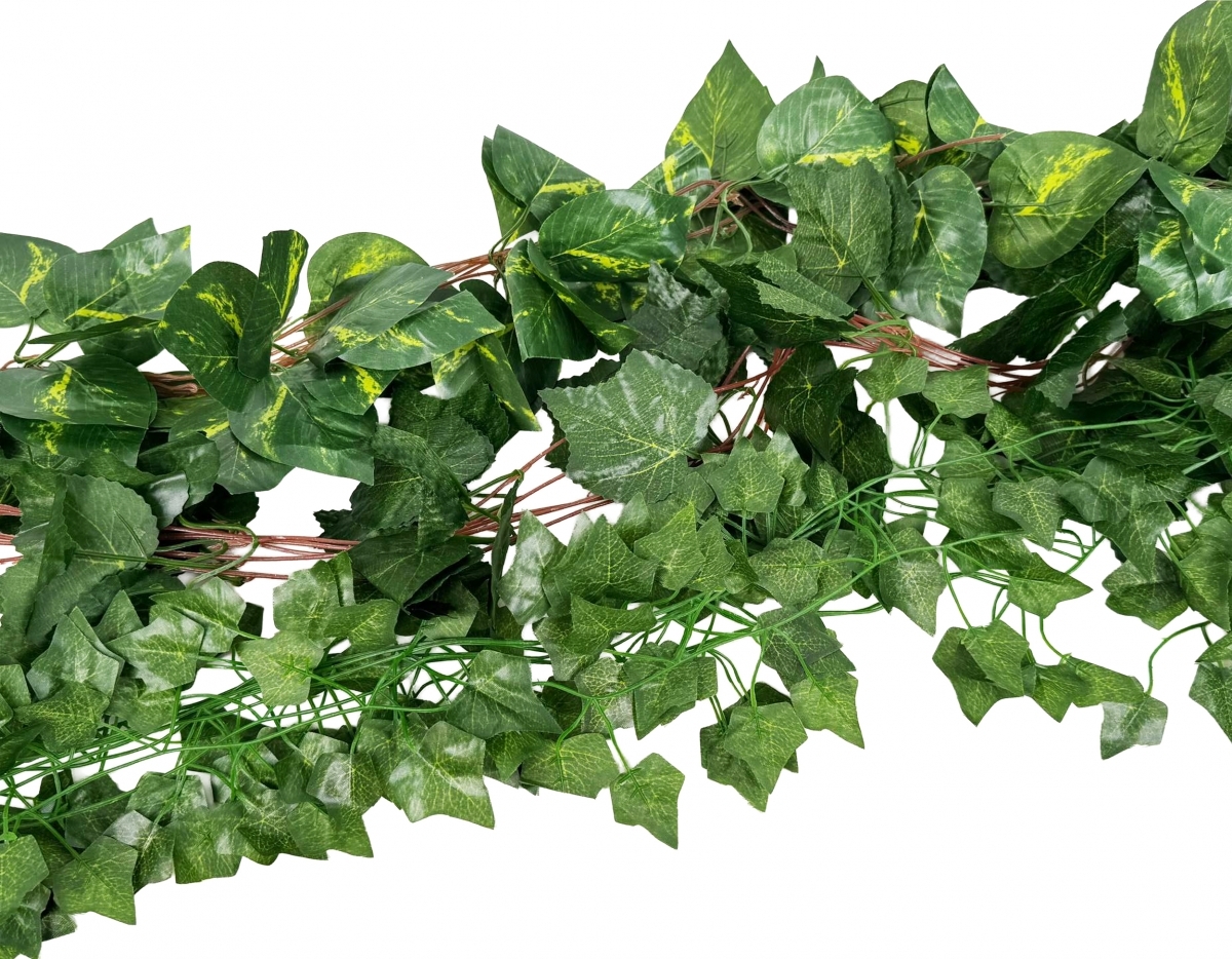 Плющ ветка в ассортименте (5 шт) в аренду