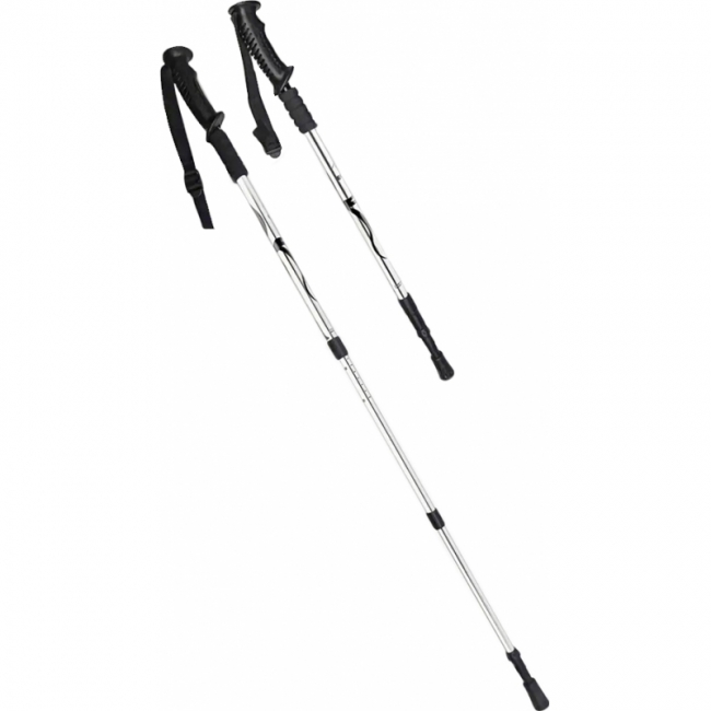 для скандинавской ходьбы 5