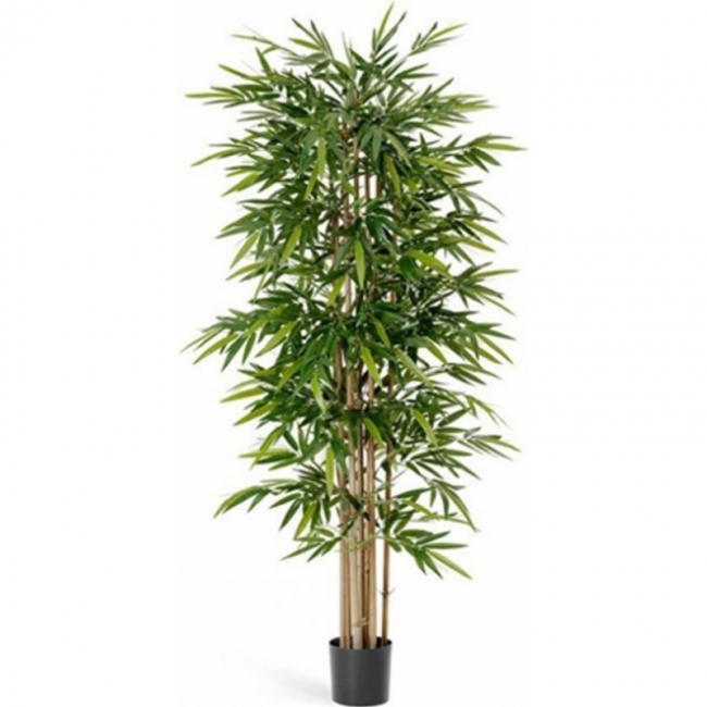 Бамбук искусственный