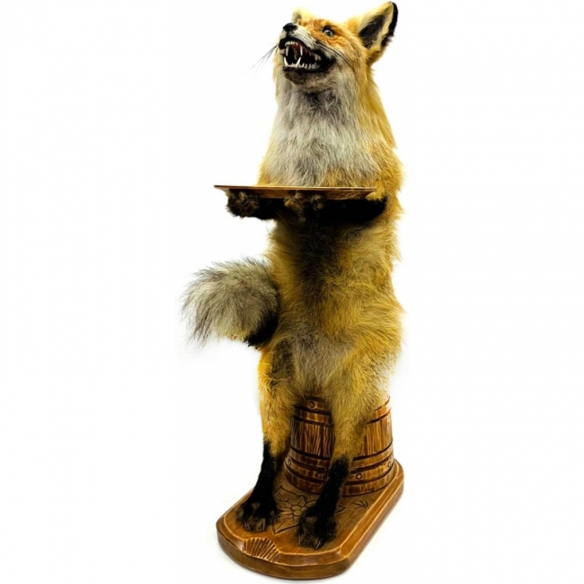 Лиса с подносом