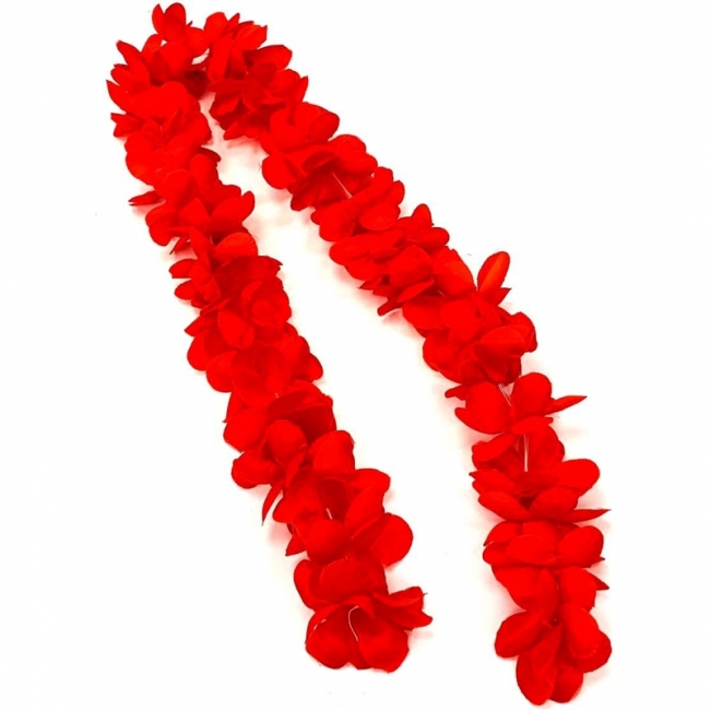 цветы индийские