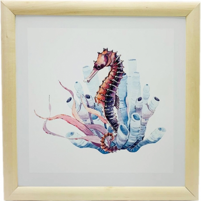 Морской конек