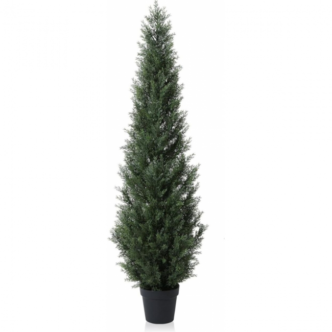 Туя искусственная