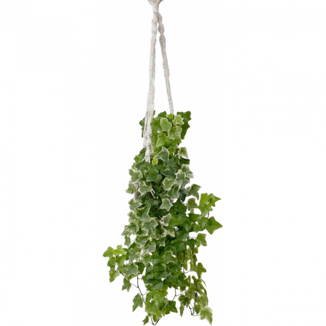 для цветов Макраме 2