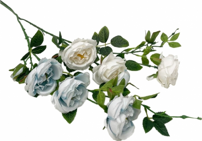 Ветка розы в ассортименте