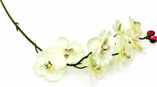 Орхидея искусственная белая
