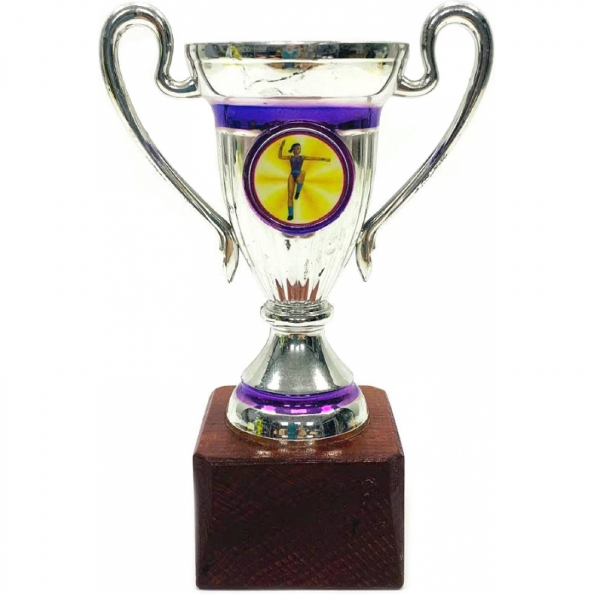 Кубок Silver gymnastics