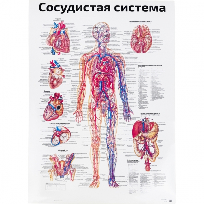 медицинский в ассортименте