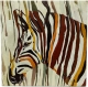 Зебра