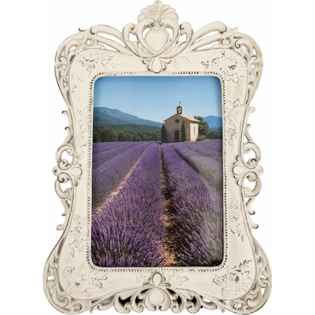 Лавандовые поля