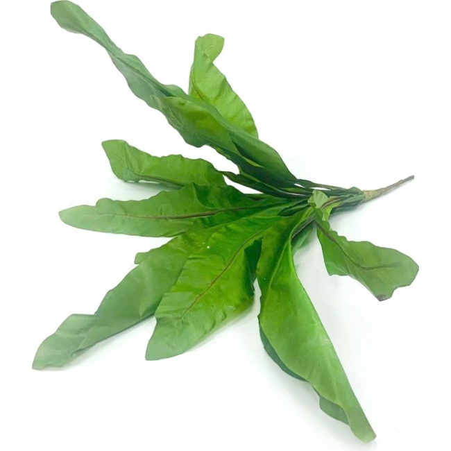 Цветок искусственный Асплениум