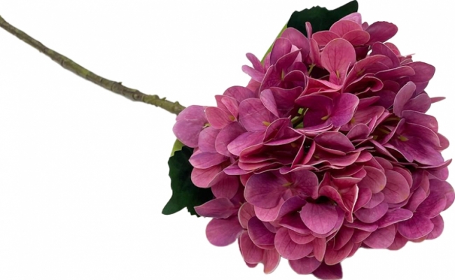 Ветка гортензия розовая