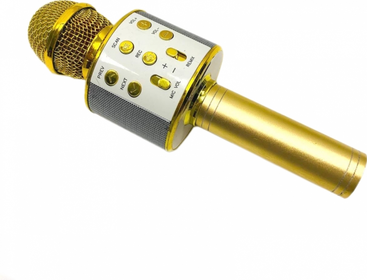 Микрофон с колонкой Karaoke