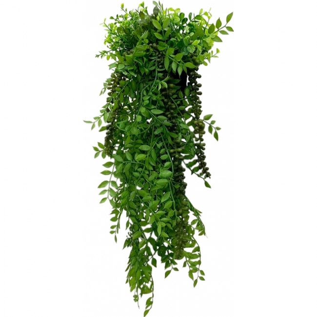 Самшит с ампельными суккулентами