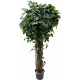 Фикус искусственный h 160 см