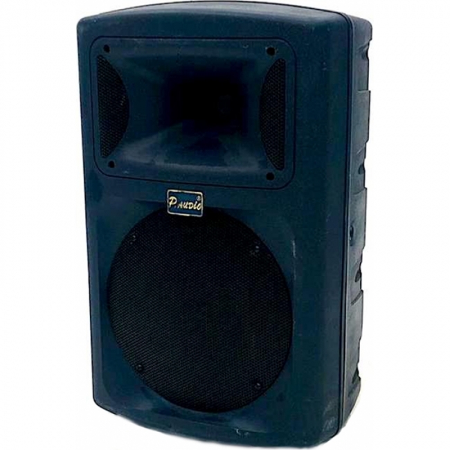 акустическая P-Audio