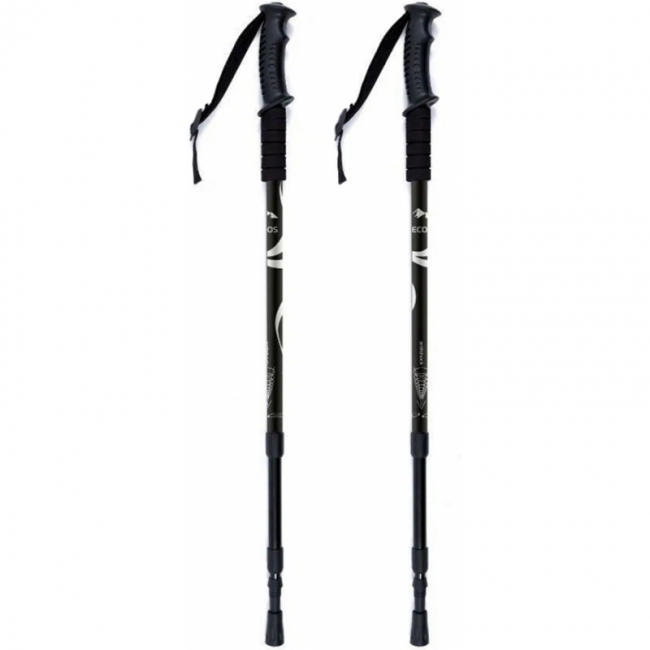 для скандинавской ходьбы 6