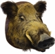 Голова кабана