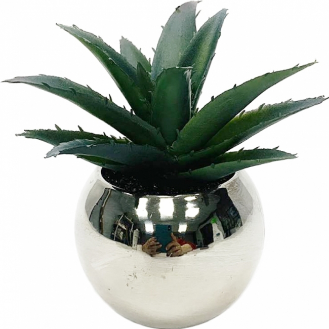 суккулент 1 искусственный