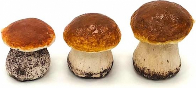 Боровик в ассортименте