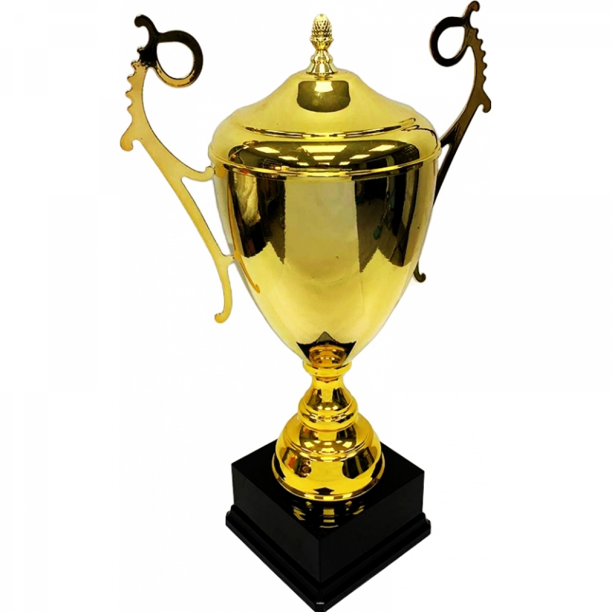 Кубок чемпионский