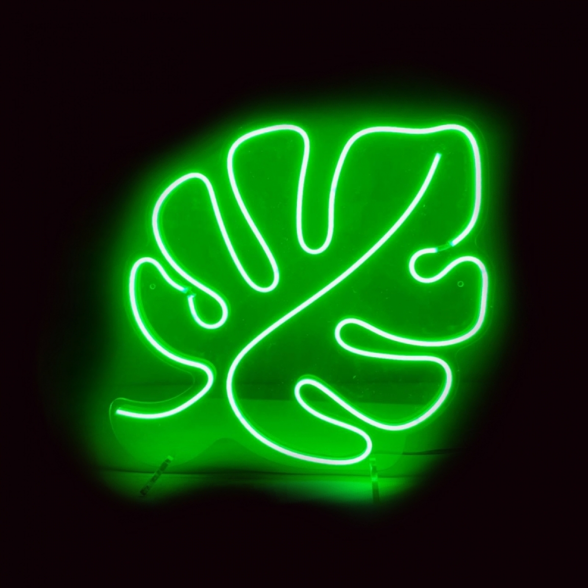 Неон Monstera
