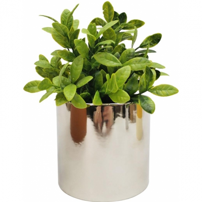 суккулент 2 искусственный