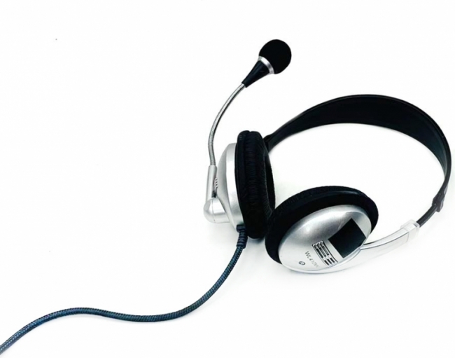 с микрофоном WLH10MV