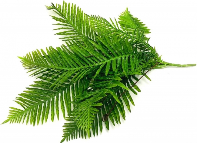 Ветка папоротника (большая)