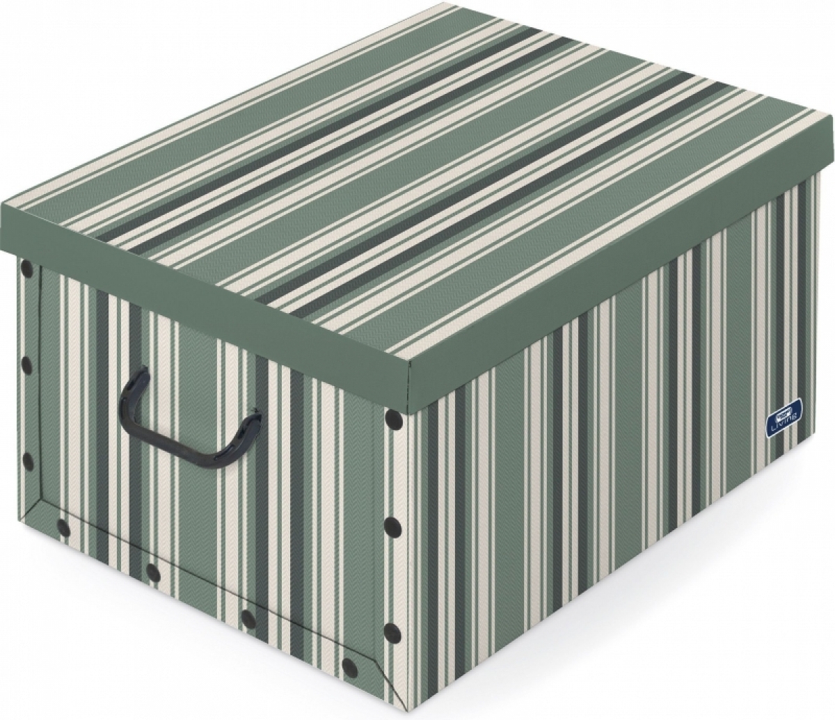 Коробка картонная Green Stripes