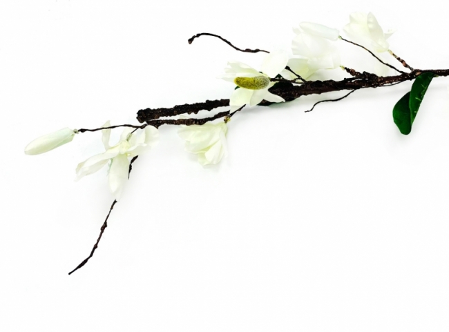 Магнолия искусственная