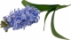 Гиацинт искусственный