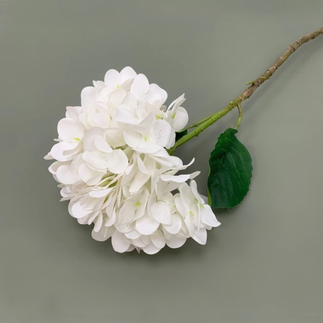 Ветка гортензия белая