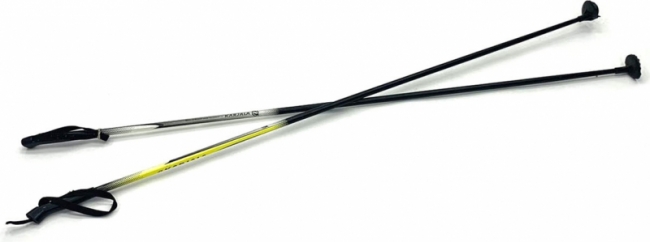 лыжные современные