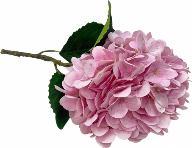 Ветка гортензия светло-розовая