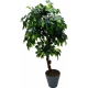 Фикус искусственный h130 см