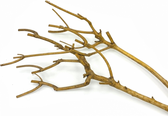 большая в ассортименте