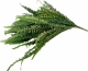 Папоротник искусственный