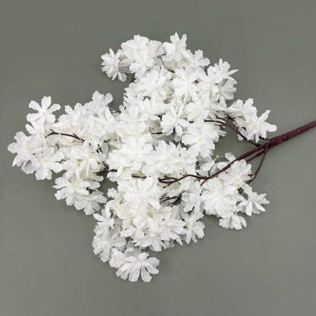 Ветка сакуры