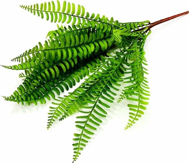 Папоротник искусственный