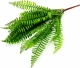 Папоротник искусственный