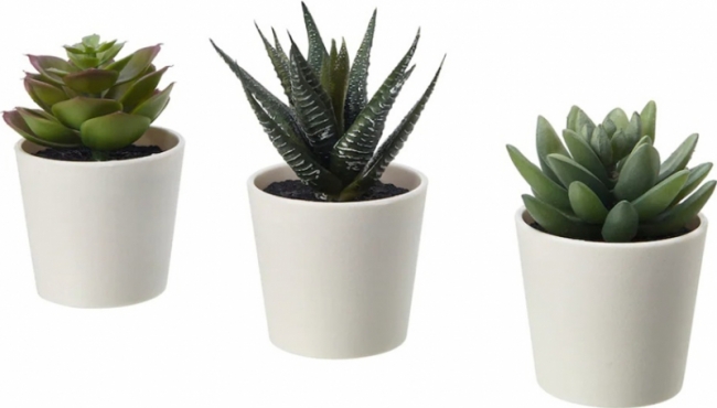 Набор из 3-х суккулентов искусственных