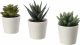 Набор из 3-х суккулентов искусственных