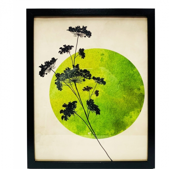 Зеленое солнце 2