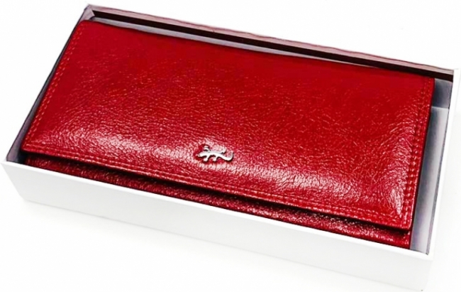 кожаный с ящерицей