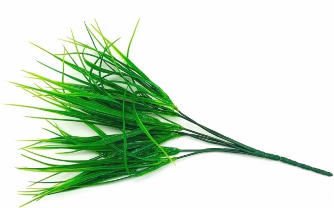 Ветка травка