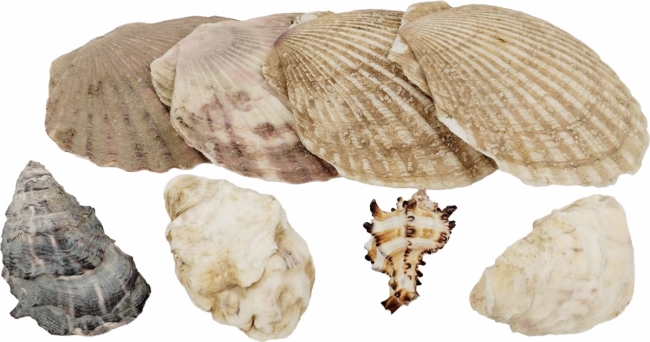 в ассортименте