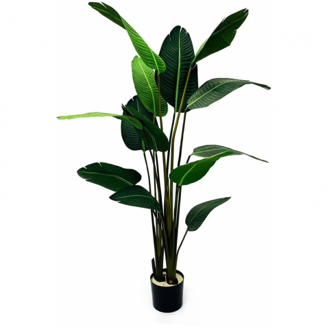 Искусственное дерево Стрелиция Королевская